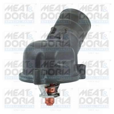 Thermostat, coolant